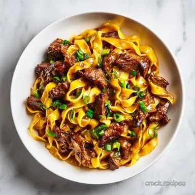 Mississippi Beef Noodles with Tender Beef and Savory Gravy